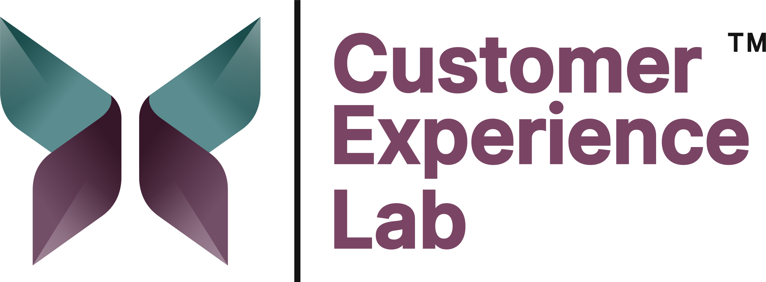 customer experience research lead customer experience lab google